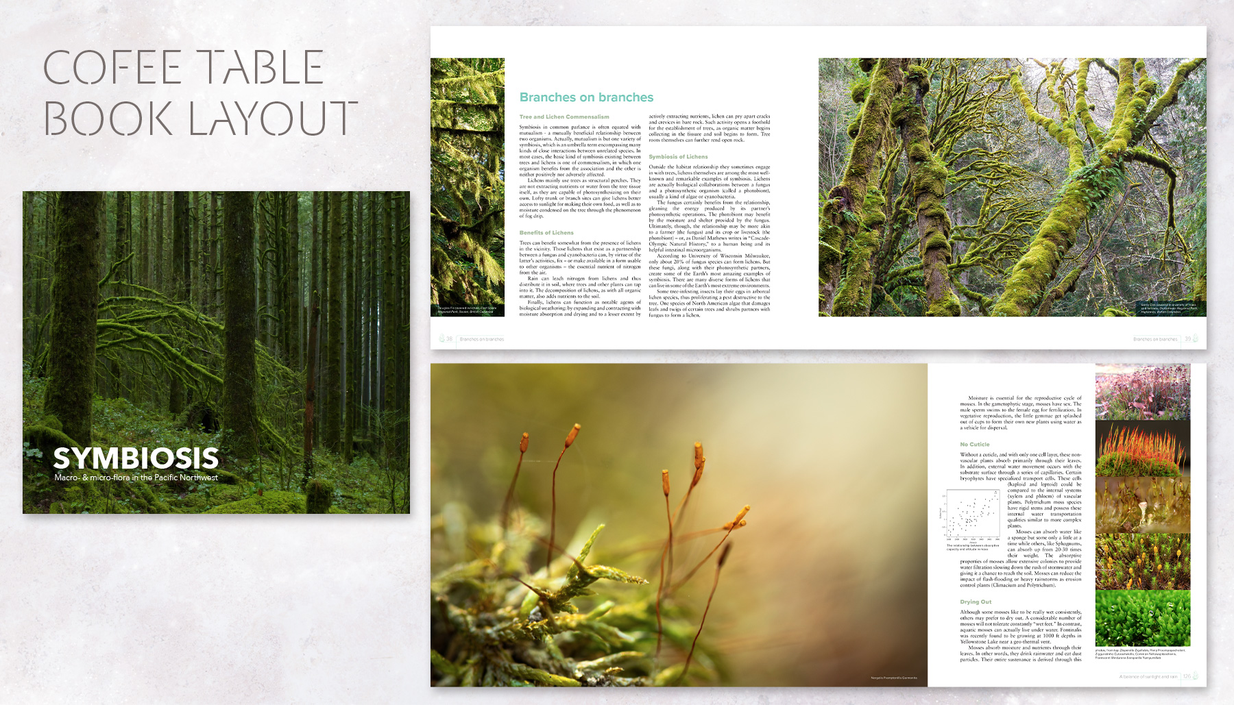 coffee table book design